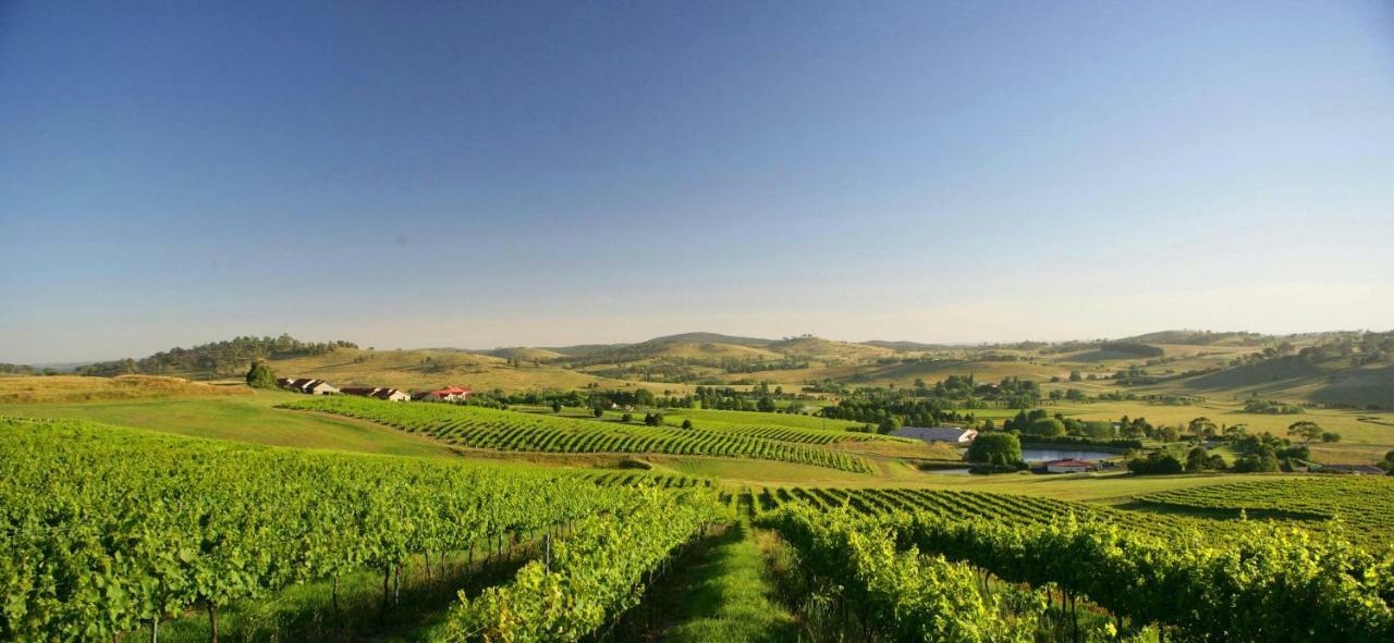 Turners Vineyard Motel Ориндж Экстерьер фото